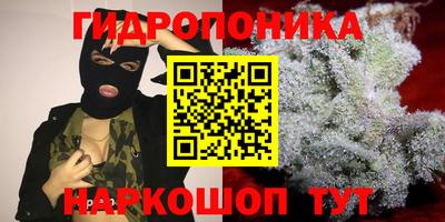 гидра Кунгур