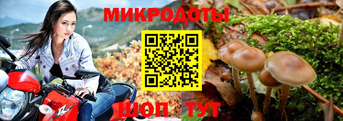 Галлюциногенные грибы мухоморы  Галлюциногенные грибы мицелий  Вход с VPN  Кашира 