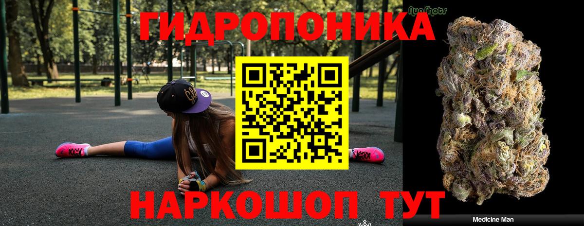 Канабис гибрид Кашира